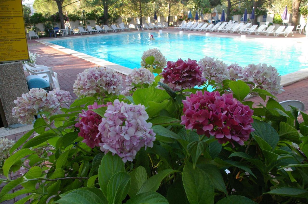 Camping Village Punta Navaccia Tuoro sul Trasimeno Exteriör bild